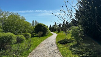 path in the park