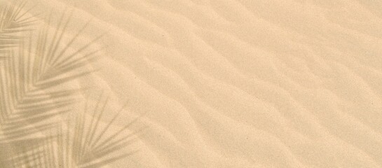 Fototapeta na wymiar Palm tree leaf shadow on sand background, Natural shadow from tropical coconut palm leaves on beach sand. top view, copy space. Summer vacation concept. Mockup for product or travel background