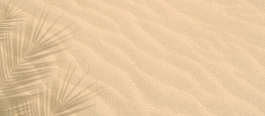 Palm tree leaf shadow on sand background, Natural shadow from tropical coconut palm leaves on beach...