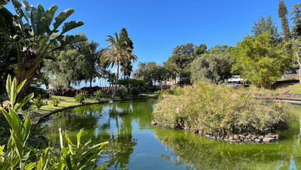 A tranquil park with a small pond surrounded by tropical plants, palm trees, and greenery under a clear blue sky.