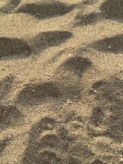 shell sand beach