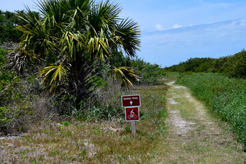 Marshland trail at Florida, USA