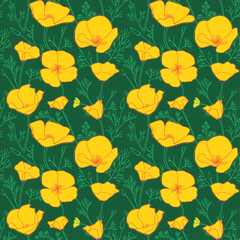 dark green seamless pattern with yellow Eschscholzia flowers. California poppy - vector background