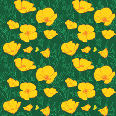 dark green seamless pattern with yellow Eschscholzia flowers. California poppy - vector background