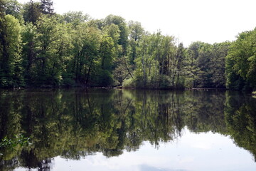 Fototapeta premium buchrainweiher bei Frankfurt