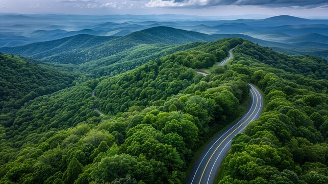 Scenic landscape view of a mountainous region covered in lush green forests. A winding road snakes through the dense tree-covered hills, leading towards the distant misty mountains in the background. 