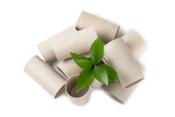 Empty toilet paper roll. Empty toilet paper rolls and plant for isolated on white background. Paper tube of toilet paper. Place for text. Copy space. Eco-friendly reuse recycle