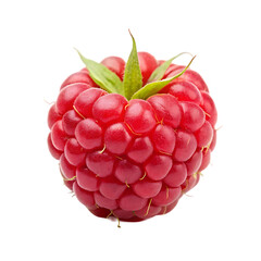 Pineberry fruit isolated on transparent background