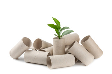 Empty toilet paper roll. Empty toilet paper rolls and plant for isolated on white background. Paper tube of toilet paper. Place for text. Copy space. Eco-friendly reuse recycle