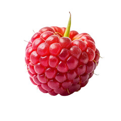 Pineberry fruit isolated on transparent background
