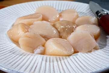 Atlantic bay cleaned scallops coquille St. James sea shells, catch of the day in Normandy or Brittany, France