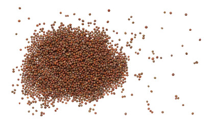 Round broccoli seeds scattered on isolated background