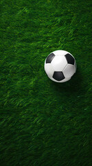 Soccer ball on green grass background, top view