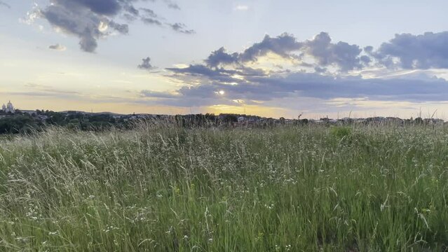 field and sky