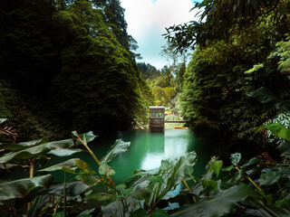 Fototapeta premium The old water power plant in the forest on the Salto do Cabrito trail in San Miguel, Azores.