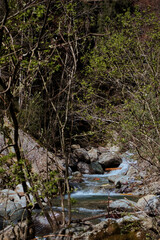 The Goglio stream in Val Sanguigno.