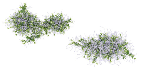 set of green creepers with roots, 3d rendering from top view