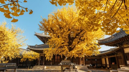 golden tree center of the courtyard Pavilion With Autumn Sunset