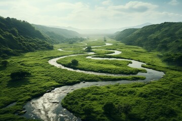 Serpentine River in Lush Valley