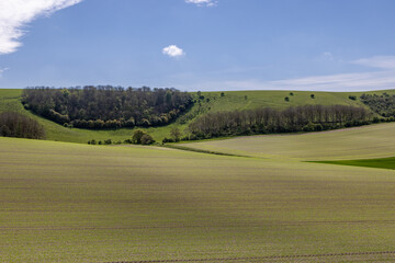 Naklejka premium Farmland in Sussex, on an early spring day