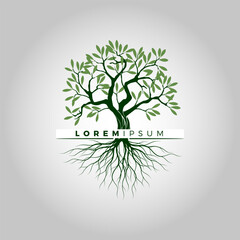 Tree and root logo