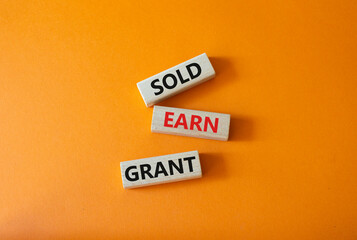 Sold Earn Grant symbol. Concept words Sold Earn Grant on wooden blocks. Beautiful orange background. Business and Sold Earn Grant concept. Copy space.