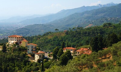 Fototapeta na wymiar Paesaggio della Versilia con le Alpi Apuane, Toscana, Italia