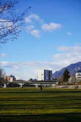 landscape with trees and sky