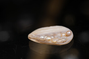Shell of an oyster with pearls. Pearls are accretions of nacre (calcium carbonate) secreted by...