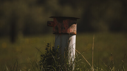 Old rusty fire hydrant on a green meadow in the evening