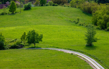 A dirt road through a clearing with trees and green grass in the countryside