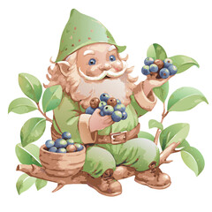 Gnome eating blueberries on a branch watercolor style