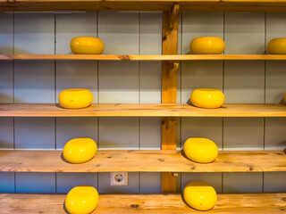 Gouda cheese, one of the most famous cheeses of the Netherlands, has a unique yellow color and a...
