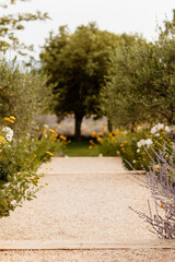 Hortensias et autres fleurs le long du chemin 