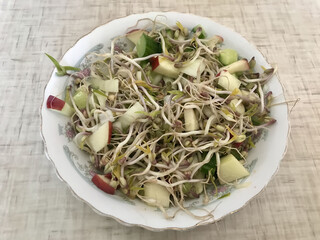 Salad of fresh vegetables and microgreens. Onions, apples, a mound of sprouted mung beans on a porcelain white plate on the table. Concept of diet, veganism, healthy foods. Close-up
