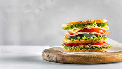 Big sandwich with vegetables and ham copy space