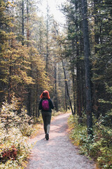 Obraz premium Woman hiking along a trail in the woods on a sunny day