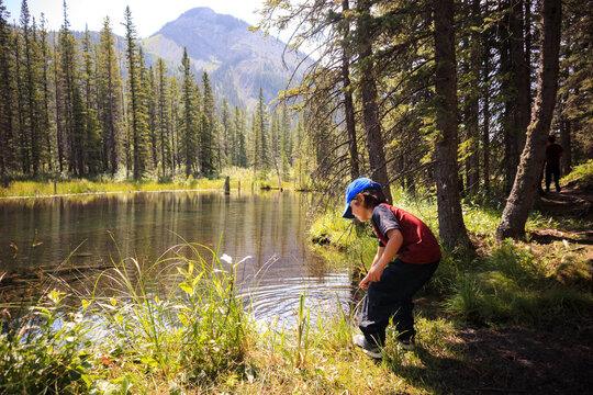 Young boy exploring a pond in a forest in summer
