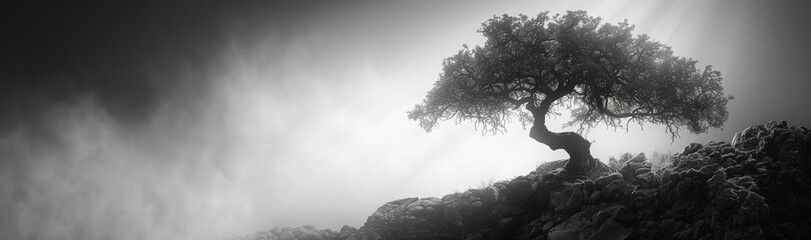 Solitary Tree on Rocky Cliff in Mist