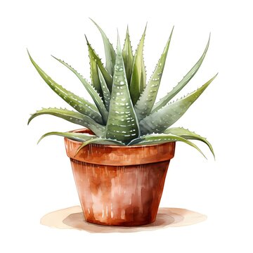 recommend clip art: Aloe vera. Aloe in pot. Aloe vera plant clipart. Watercolor illustration. Generative AI. Detailed illustration.