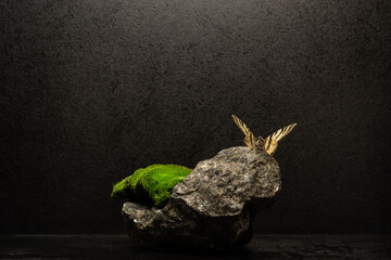 composition of black stones and green moss for product presentation. stones and moss with a...