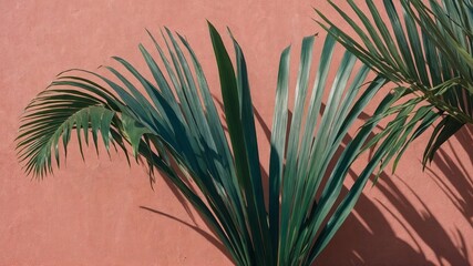Large palm leaves with prominent veins extend diagonally across frame against textured, peach-colored wall. Leaves deep green, cast subtle shadows on wall, creating sense of depth, dimension.