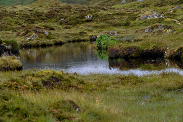 Far&ouml;er, Urlaub, Natur