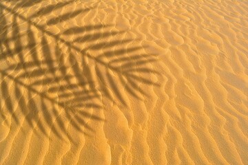 palm leaf shadow cast on fine sand beach in sunlight for summer background. background of desert...