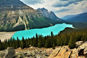 Peyto Lake - a glacier-fed turquoise lake in Banff National Park in the Canadian Rockies (Alberta,...