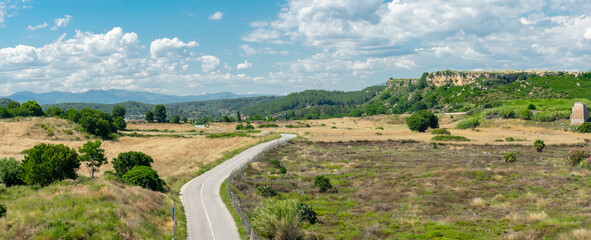 View from a height of the ancient city of Perge. Ancient city surrounded by dense green vegetation.