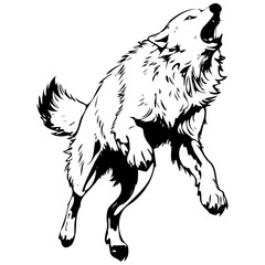 Obraz premium Engrave Arctic Wolf jumps drawing, animal head, line art black realistic sketches painting