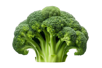 A large head of broccoli with many small florets, white background, transparent background