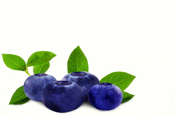 blueberries or bilberry fruit with leaves isolated on white background,copy space