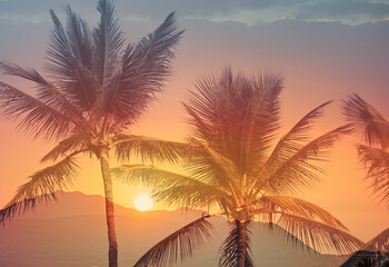 Beautiful sunset over the mountains and tropical palm trees 
